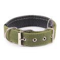 Pp Braid Lined Polypropylene PET Foam Dog Collar Meifu Market