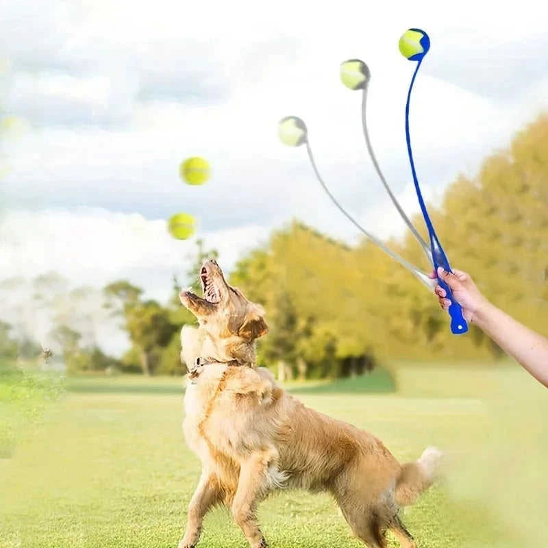 interactive dog toy | pet fetch launcher | durable dog ball thrower | energy saving