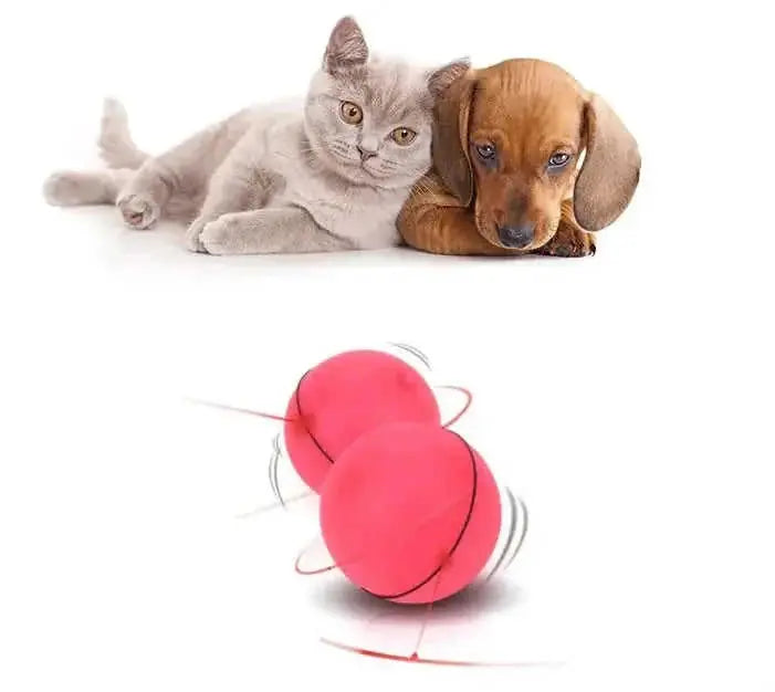 automatic laser ball | interactive cat toy ball | usb rechargeable cat toy | ultrasonic cleaning