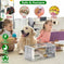 Single Door Rat Trap Cage Humane Rodent Trap Mouse Trap Meifu Market
