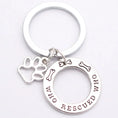 stainless-steel dog tag | personalized pet id tag | waterproof dog collar | energy saving