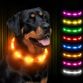 rechargeable pet collar | led dog collar | glowing cat collar | energy saving