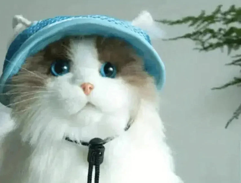 adjustable pet sun hat | uv protection for dogs | sun hat for cats | energy saving