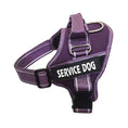 Personalization Of Pet Chest Strap Products Meifu Market