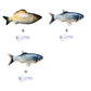 Without Cat Nip Version - Electric Jumping Fish Simulation Electric Fish Toy Meifu Market
