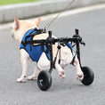 Pet Disabled Dog Wheelchair Scooter - adjustable dog wheelchair for growing puppies