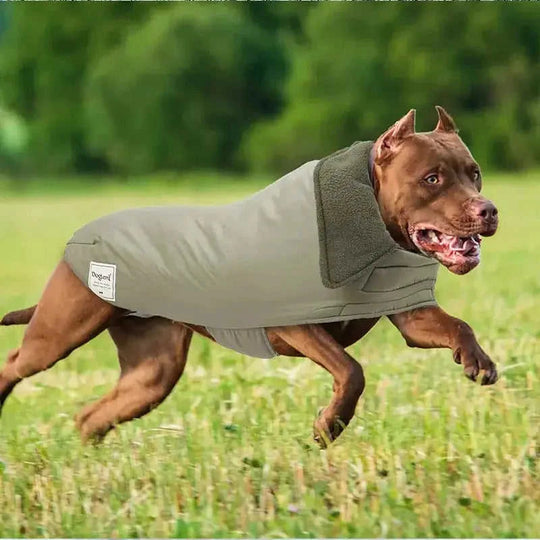 cold-proof dog vest | cotton-padded turtleneck sweater | solid color pet clothes | ultrasonic cleaning