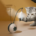 Enjoying Electric Intelligent Bite Resistant Cat Toys Pet Products Meifu Market