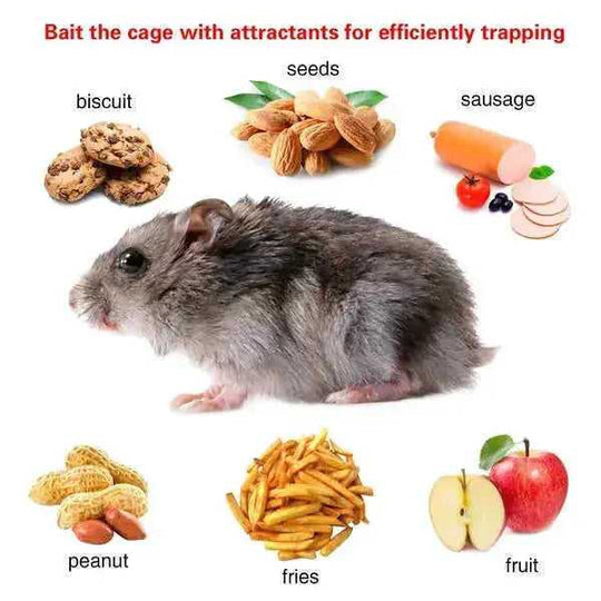 Humane Rat Trap Cage 2 Pack - Live Mouse Rodent Trap Galvanized Steel Catch Release Meifu Market