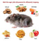 Humane Rat Trap Cage 2 Pack - Live Mouse Rodent Trap Galvanized Steel Catch Release Meifu Market