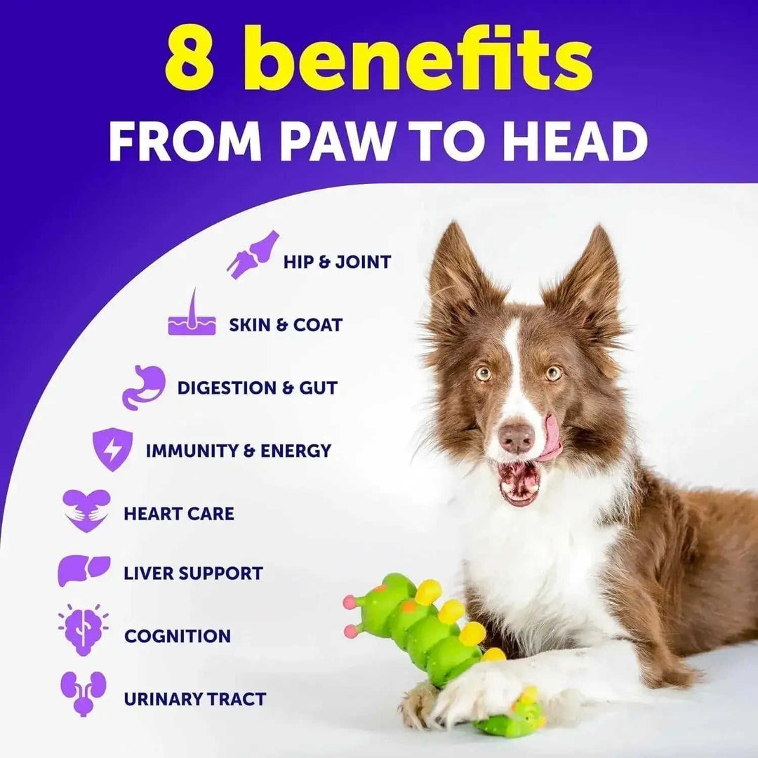 Do Not Sell On Amazon Dog Multivitamin Chewable With Glucosamine 20 In 1 Dog Vitamins And Supplements Senior & Puppy Multi...