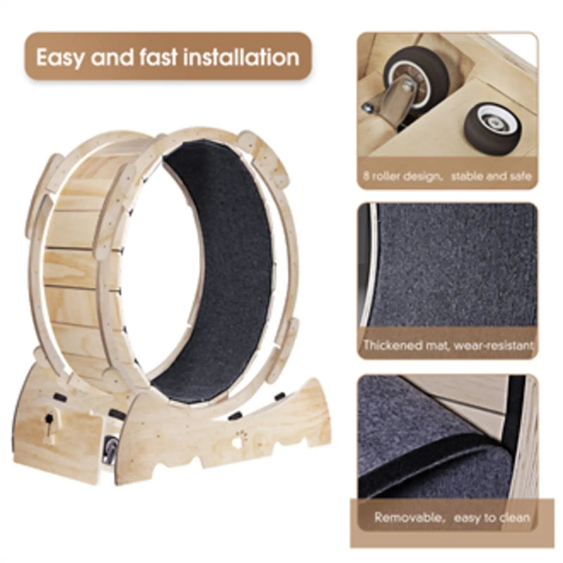 Cat Exercise Wheel For Indoor Cats, Running Wheel With Carpeted Runway Meifu Market
