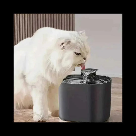 l pet water fountain | automatic water dispenser for pets | filtered drinking water fountain | ultrasonic cleaning