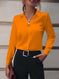 Commuter V-neck Long-sleeved Shirts Ins Fashion Solid Color Pullover Top Autumn And Spring Women's Clothing Meifu Market