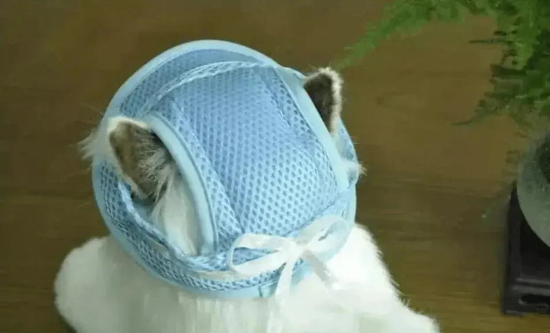 adjustable pet sun hat | uv protection for dogs | sun hat for cats | ultrasonic cleaning