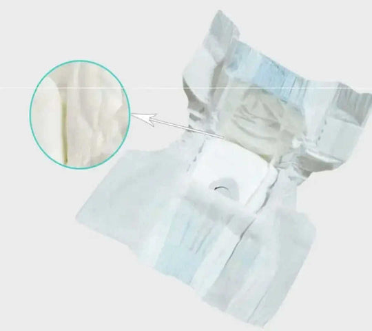 Female Dog Diapers - Disposable Pet Menstrual Pants for Small Dogs (2 Pack) Meifu Market