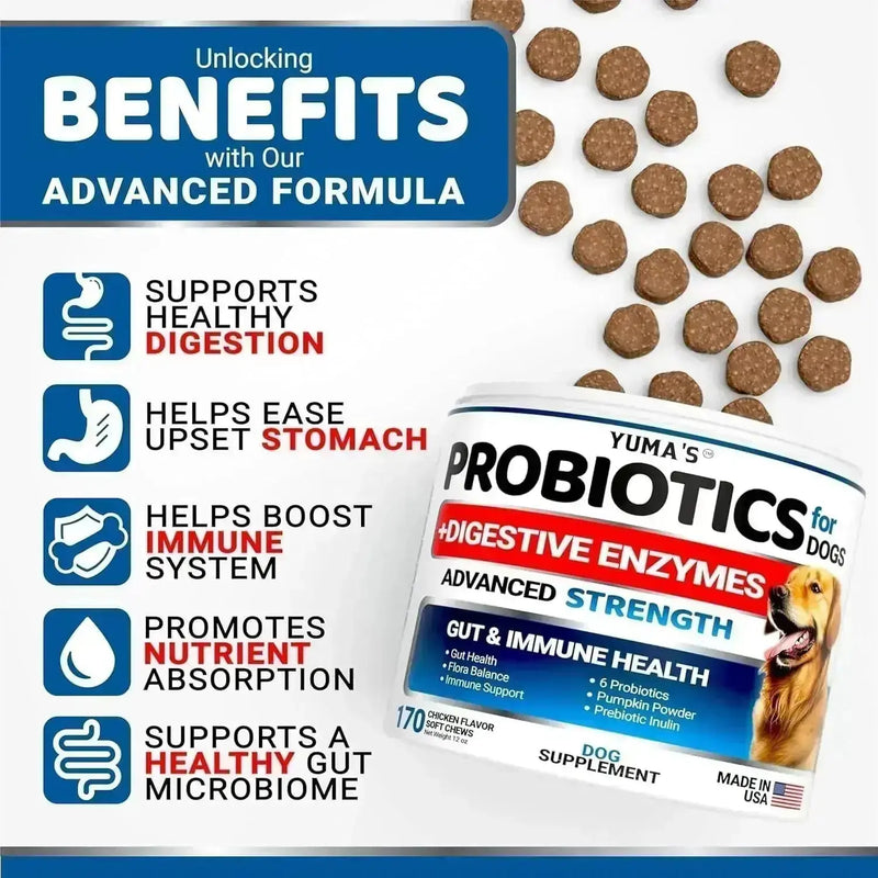 2 Pack Probiotics For Dogs And Digestive Enzymes Dog Probiotics Chews Anti Diarrhea Upset Stomach Gas Relief Constipation Canine Prebiotic Pet Fiber Supplement 340 Chews - how to choose probiotics for dogs with chronic upset stomach