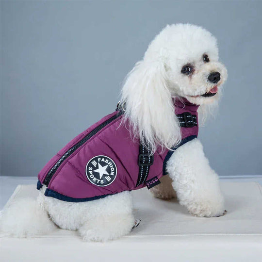 Waterproof Dog Clothes Winter Dog Coat With Harness Warm Pet Clothing Big Dog Jacket Chihuahua Labrador Coat Costume Meifu Market