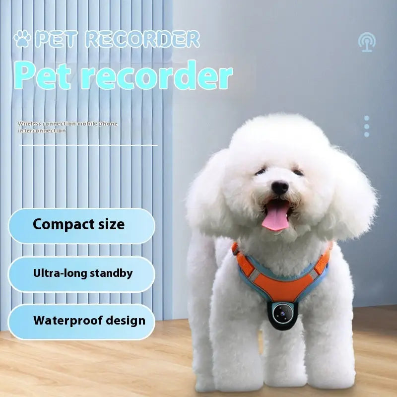 Pets Recorder Pet Tracker Collar Dogs And Cats Viewing Angle Motion Recording Camera Action Camera With Video Records Cat Collars Camera Sport Pet Products Meifu Market