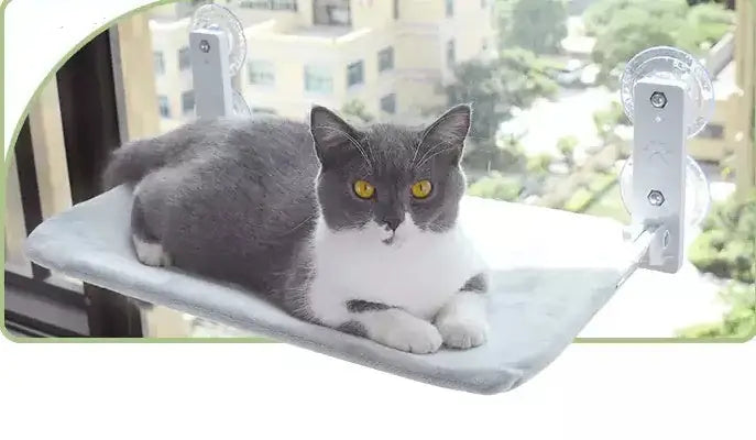 Cat Suction Cup Window Glass Hammock Pet Cat Pets Products Meifu Market