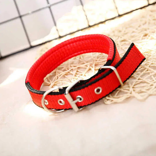 Pp Braid Lined Polypropylene PET Foam Dog Collar Black - texture and material detail