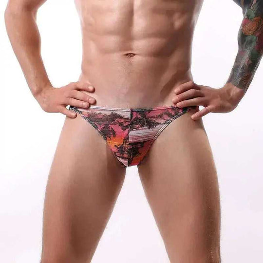 Men's Printed Briefs Breathable Mesh Multi-color Underwear Meifu Market