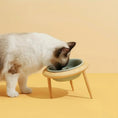 adjustable height pet bowl | ceramic cat food bowl set | elevated wooden pet feeder | ultrasonic cleaning