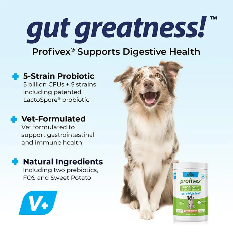 OEM Hot Sales Probiotics Chews For Pets Customized Shape For Digestive Health Pets Supplement Healthy Gut For Dogs Meifu Market