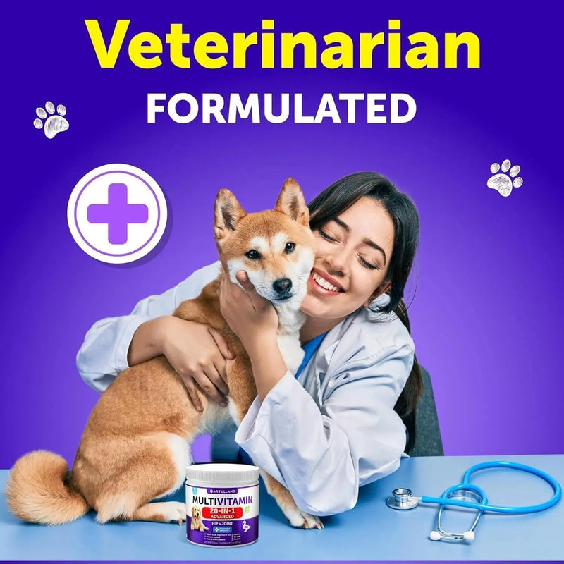 Dog Multivitamin Chewable With Glucosamine 20 In 1 Dog Vitamins And Supplements Senior & Puppy Multivitamin For Dogs Pet Joint Support Health Immunity Mobility Gut Skin 120 Chews Meifu Market