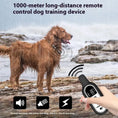 Pet Collar Waterproof Remote Control Dog Trainer Meifu Market