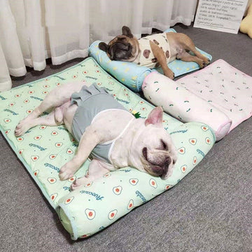 Cool Dog Mat Summer Pet Blanket Cooling Breathable Cat Bed Outdoor Washable Travel Cold Silk Sofa Portable Sleep Puppy Supplier 