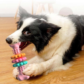 Dog Chew Toy Dog Bone Type  Dogs Teeth Cleaning Toys Indestructible TPR Bone Chewing Bite Resistant Teething Toys  Pet Products 