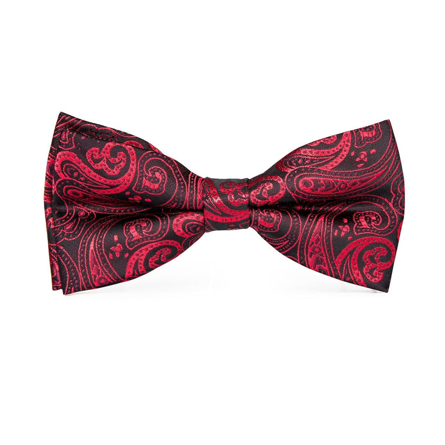 Hi-Tie Luxury Red Silk Men's Accessories for Weddings & Events 