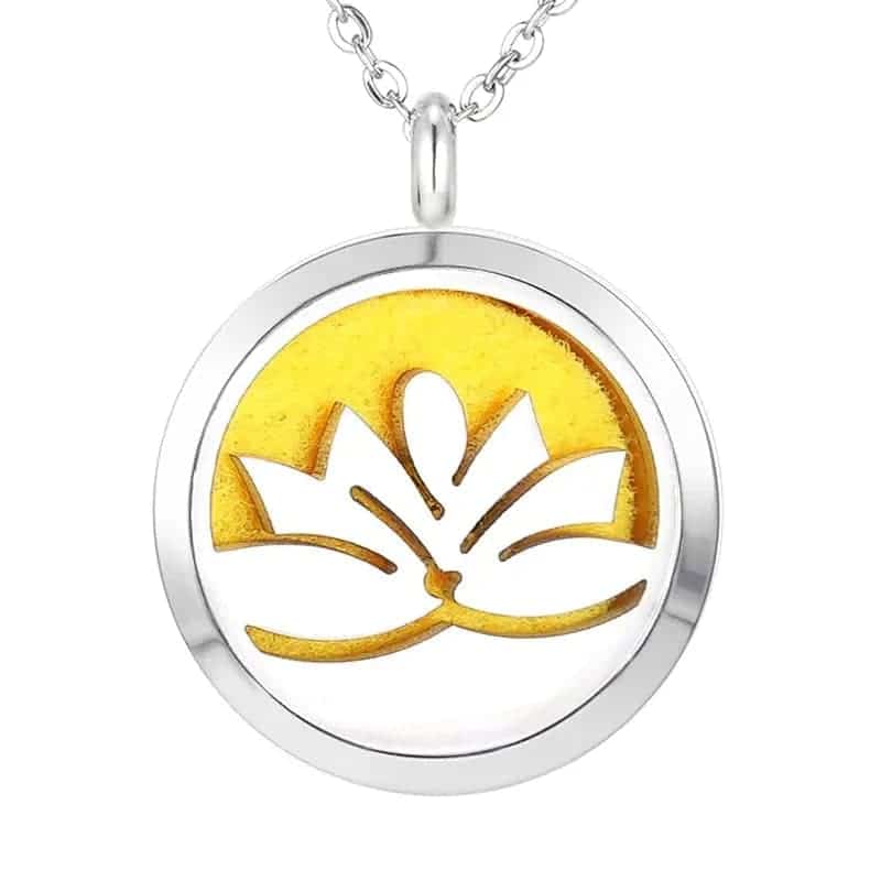 Top Quality Stainless Steel Aromatherapy Locket Necklaces Gift 