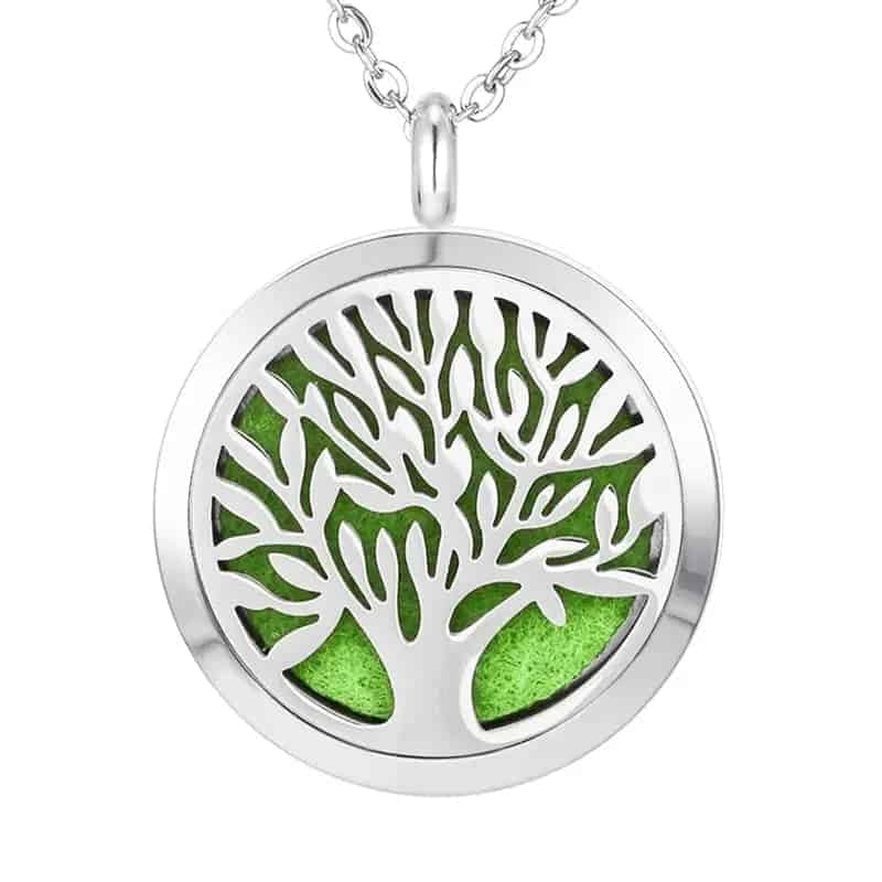 Top Quality Stainless Steel Aromatherapy Locket Necklaces Gift 