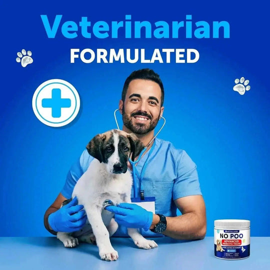 No Poo Chews For Dogs Puppy Coprophagia Stool Eating Deterrent Prevent Dog From Eating Poop Stop Eating Poop Treats With Probiotics & Enzymes Immune Digestive Gut Health Support Supplement Meifu Market