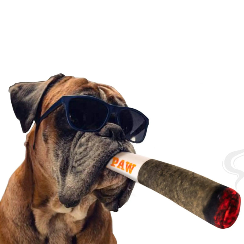 Doggy Doobie - Funny Dog Toys - Plush Squeaky Toys For Medium, Small And Large - Cool Stuffed Cute Gifts For Dog Birthday Meifu Market