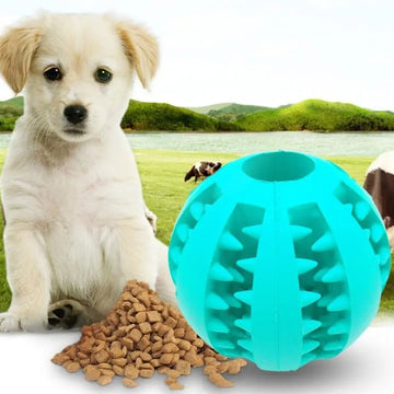 Pet Slow Feeder Dog Toy Cute Funny Rubber Dog Ball Toy Meifu Market