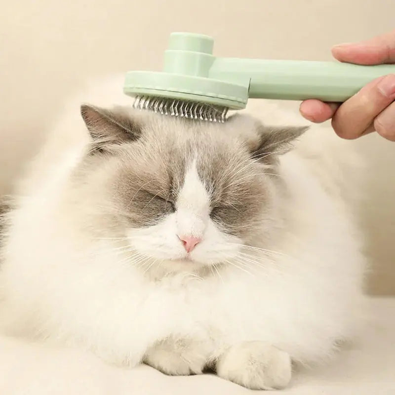 pet grooming brush stainless steel | dematting comb for dogs | cat grooming brush with steel teeth | ultrasonic cleaning