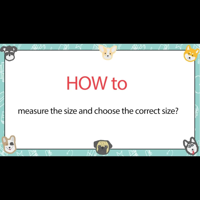 reflective dog vest harness | comfortable mesh dog harness | safety pet vest | energy saving