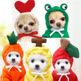 Cute Fruit Dog Clothes For Small Dogs Hoodies Winter Warm Fleece Pet Clothing Puppy Cat Costume Coat For French Chihuahua Outfit Meifu Market
