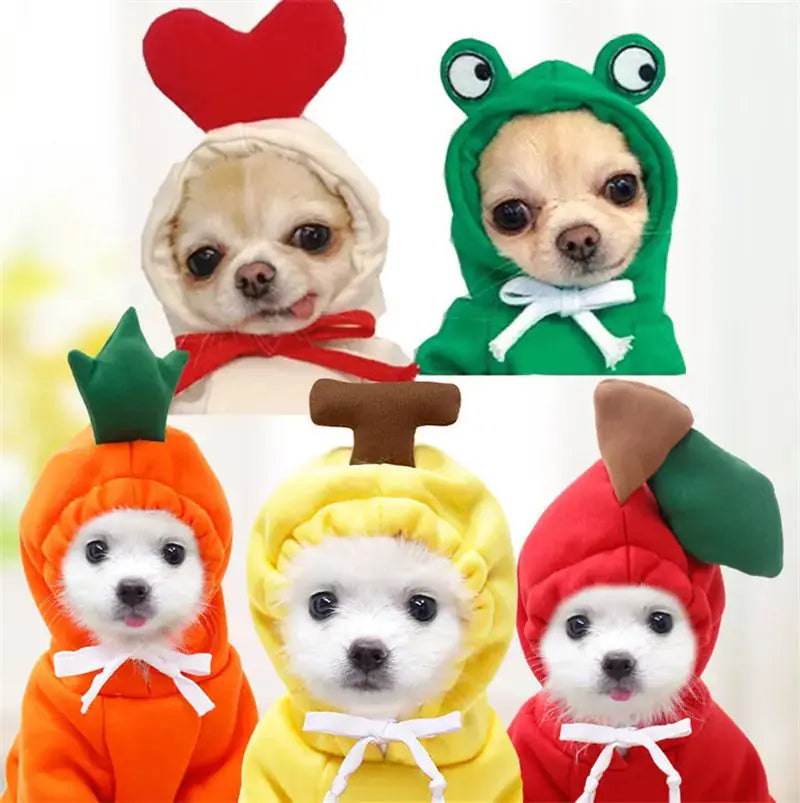 Cute Fruit Dog Clothes For Small Dogs Hoodies Winter Warm Fleece Pet Clothing Puppy Cat Costume Coat For French Chihuahua Outfit Meifu Market