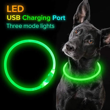 Pet Flashing Collar USB Rechargeable Glowing Necklace Safety Collar Light Up Collars For Night Walking Electric Dog Collar Neon Meifu Market