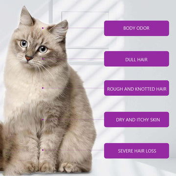 Yegebang Pet Shampoo And Shower Gel Relieves Itchy Skin And Leaves Hair Smooth And Untangled Meifu Market