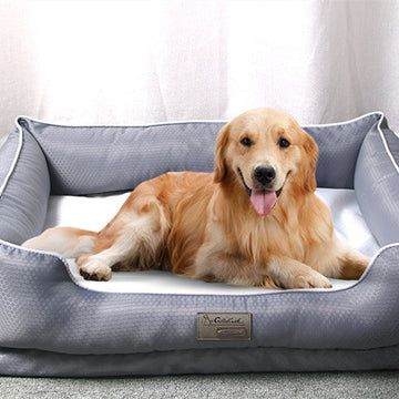 Removable Pet Litter Dog Beds Pet Supplies Meifu Market