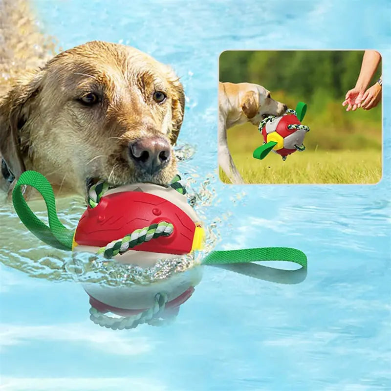 Interactive Dog Football Soccer Ball With Tabs Inflated Training Toy Outdoor Border Collie Balls Pet Products Meifu Market
