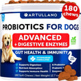 Probiotics For Dogs Support Gut Health Itchy Skin Allergies Immunity Yeast Balance Dog Probiotics And Digestive Enzymes With Prebiotics Reduce Diarrhea Gas 180 Probiotic Chews For Dogs Meifu Market