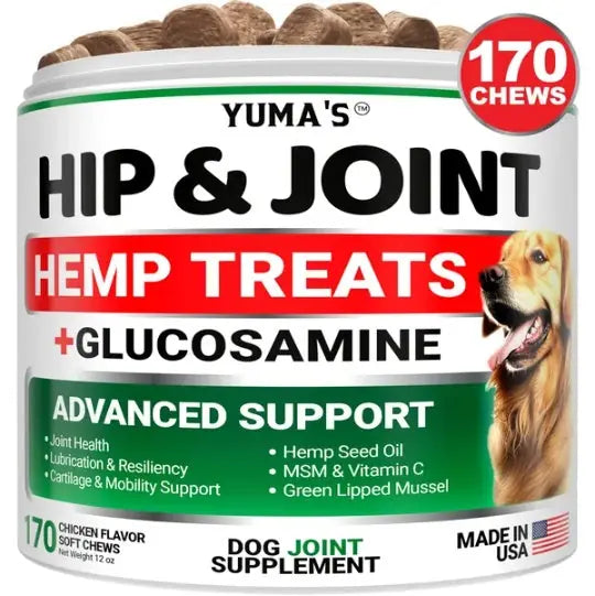 Hemp Hip And Joint Supplement For Dogs Glucosamine For Dogs Joint Pain Relief With MSM Advanced Dog Joint Supplement Health Glucosamine For Dogs Chews Meifu Market