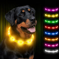 rechargeable pet collar | led dog collar | glowing cat collar | energy saving