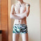 Men's Ice Silk Boxer Briefs Summer Breathable Printed Underwear Meifu Market